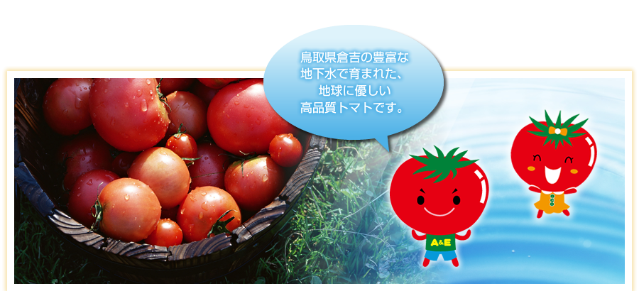 鳥取県倉吉の豊富な地下水で育まれた、地球に優しい高品質トマトです。